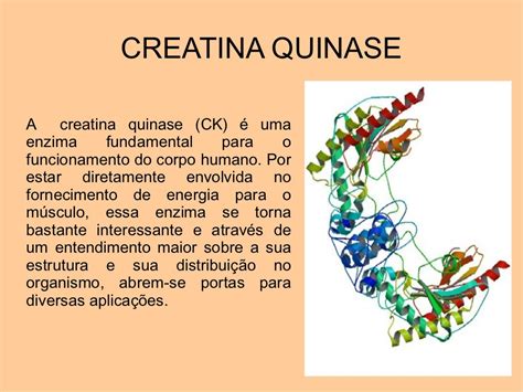 o que é creatina quinase